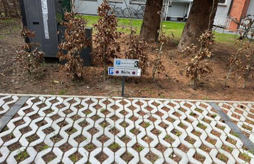 Holiday apartment in Bramfelder Chaussee 312- 3 - Photo 28