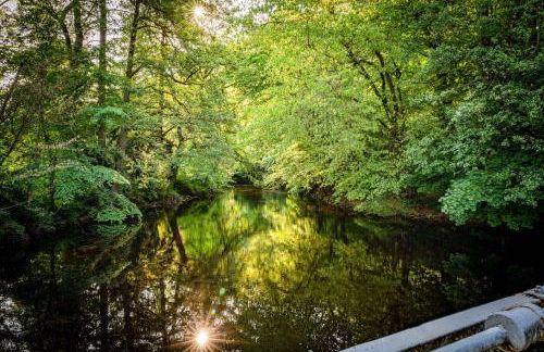 Mühls Apartments - Foto 1