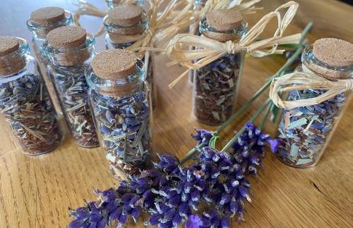 Chata Gilowicka - Beskid Żywiecki - Foto 32