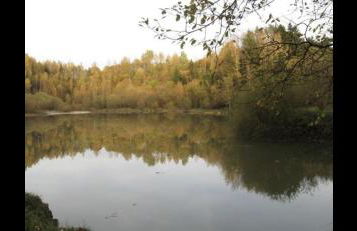 Traum FeWo mit Stil - Foto 28