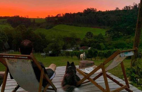 Casa na árvore com banheira, piscina, trilha, cavalo - Foto 27