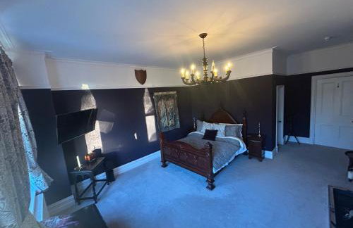 Ashleigh Buxton - Foto 18