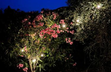 La Ghiandaia - Foto 41