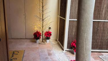 Calm Suites Babole - Foto 2