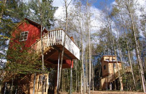 Baumhaus Hotel Voglsam - Foto 35