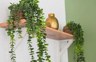 NUXIA Suites&SPA L'Abohème Chic - Foto 10