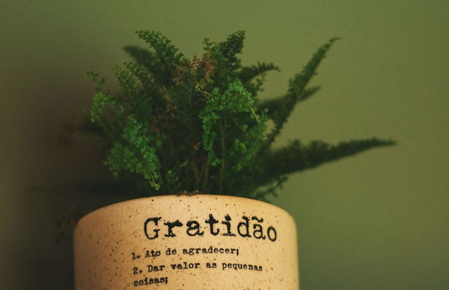 Prana Chalé com Hidromassagem na Serra - Foto 43