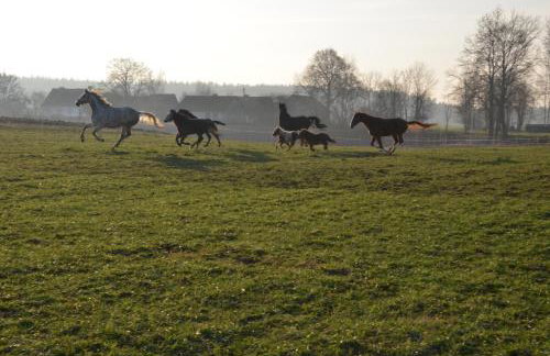 Dworek Mazurski Lizer - Foto 20