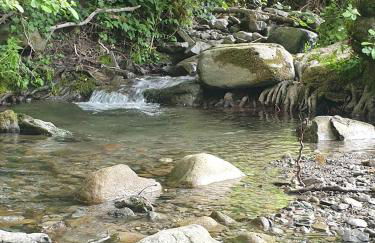 Il Telaio - Pian di Nenne - Foto 33
