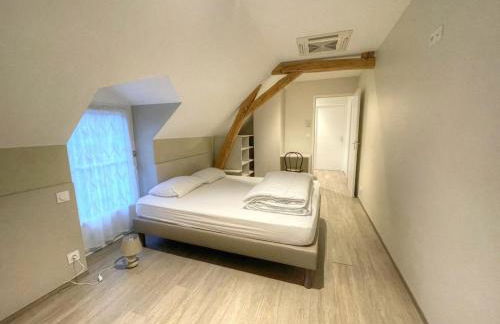 Gîte élégant avec climatisation, jardin et Wi-Fi près des Châteaux et Zoo de Beauval - FR-1-491-453 - Foto 16