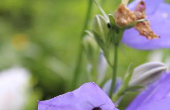 Landhaus Almyssen - Foto 40