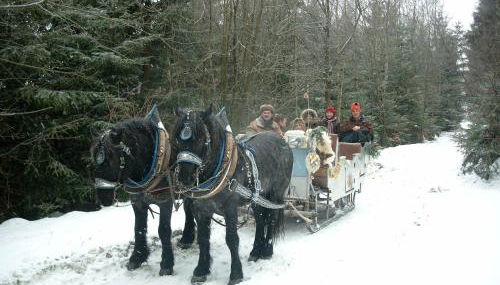 Schönblick 36 - Photo 2