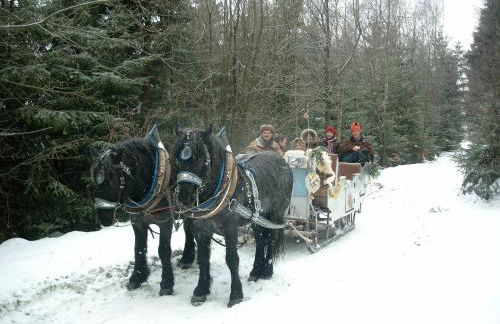 Schönblick 36 - Foto 2