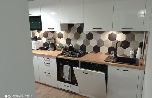 Apartament na parterze - Foto 1