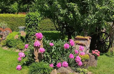 Ferienwohnung Rabelsdorf - Foto 6