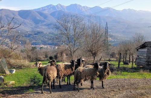 Maurizio nel Borgo Medievale - Foto 7