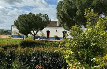 Herdade das Pintas - Foto 1