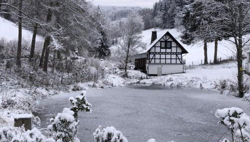 Ruckzugsort am Teich in Winterberg - Foto 2