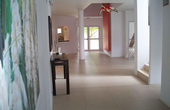 Avutarda de Carilo - Photo 38