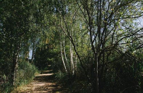 Ferienwohnung Verena Wunderlich - Foto 24