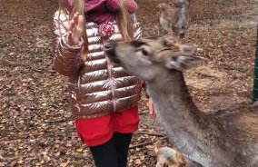 Zacisze Jurajskie - Foto 57