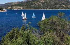 Naturaleza en el pantano de San Juan - Foto 1