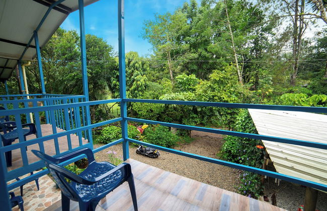 La Posada De Las Aves - Photo 4