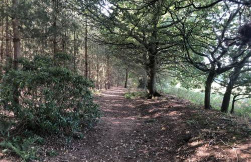 Top Farm Shepherds Lodge - Foto 25