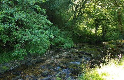 Bwthyn Bach (Tiny Cottage) - Foto 15