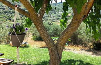 Lily Home_Lefkada ~ Private Country house - Foto 10