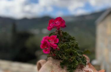Stone Heaven Villa -Poolside BBQ & Fresh Herbs - Photo 26
