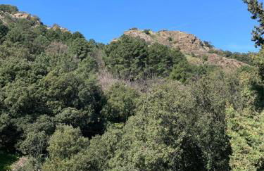 Charmante maisonnette proche du centre du village - Foto 21