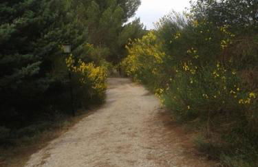 El Estudio - Foto 49