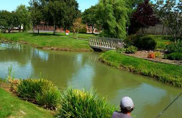 Cripps Farm Holiday Lets - Foto 14