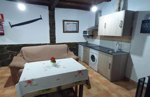 La Jelechera - Foto 29