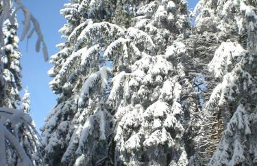 Gipfel Lounge - Photo 16