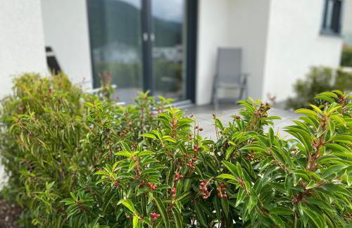 Ferienwohnung Weinbergblick - Foto 22