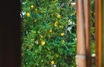 Refúgio da Caniçada - T4, Piscina Aquecida Gerês - Foto 16