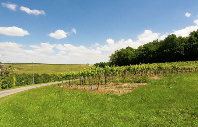 Luxury Apartment With Terrace, Sauna, Tennis, Pool - Foto 41