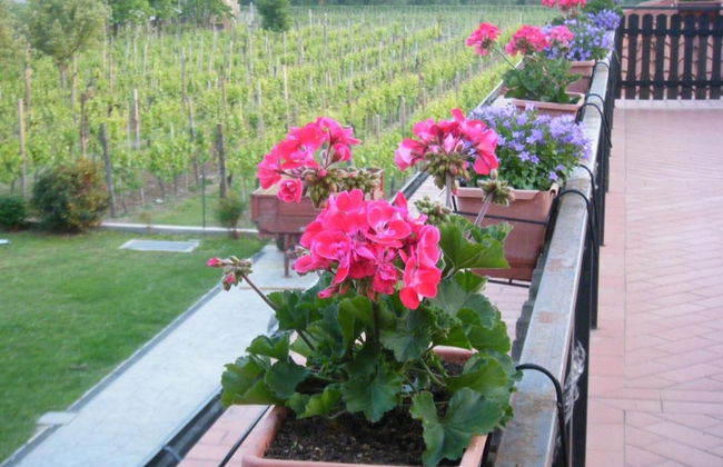 Agriturismo Grillo Iole - Foto 26