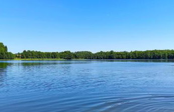 Marchówka - Foto 15