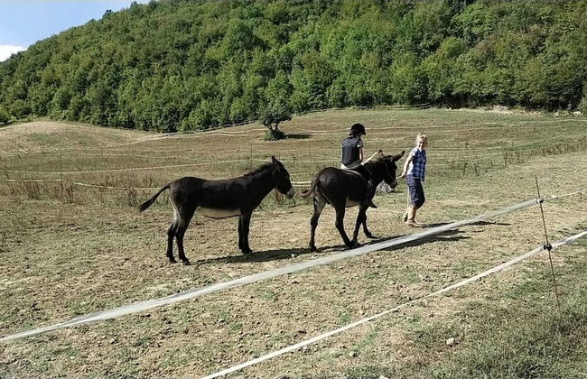 Agriturismo Campo Rosso - Foto 39