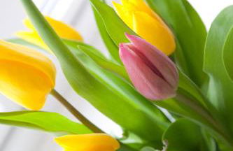 Sütjers Hüs - Foto 42