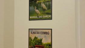 Apto com ótima localização, garagem e elevador - Foto 4