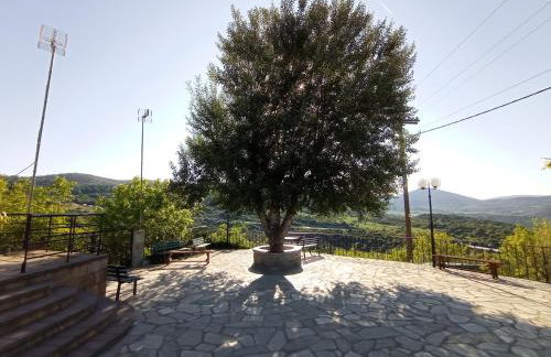 Μυρτώ - Photo 22