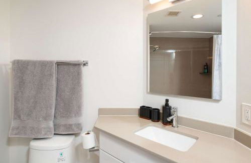 2BR Penthouse Boston Common DT - Foto 35