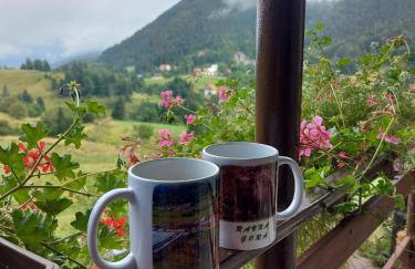 Apartman Skender 3* Ravna Gora - Foto 1