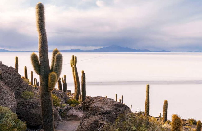 Tour di 4 giorni da Uyuni a La Paz - Foto 3