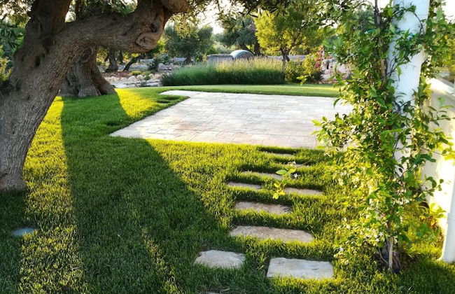 Trulli Lamascrasciola - Foto 16