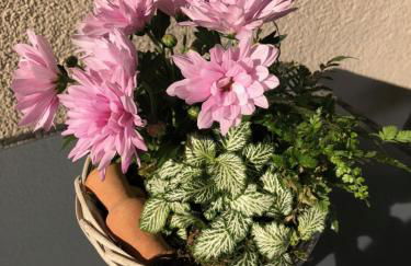 Ferienhaus Neumeyer - Foto 25